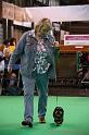 Crufts2011_2 1542